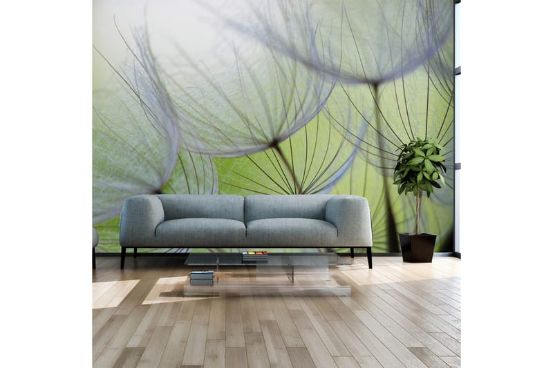 Valokuvatapetti Fleeting Moments 100x70, Artgeist sp. z o. o.