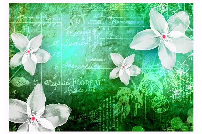 Valokuvatapetti Floral Notes III 300x210 - Artgeist sp. z o. o. - Sisustustuotteet - Seinäkoristeet - Tapetit - Valokuvatapetit