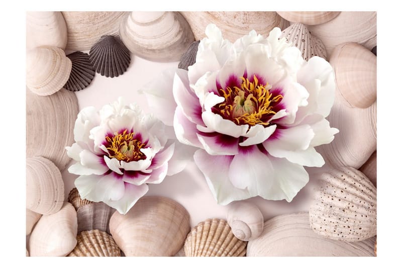 Valokuvatapetti Flowers And Shells 300x210 - Artgeist sp. z o. o. - Sisustustuotteet - Seinäkoristeet - Tapetit - Valokuvatapetit