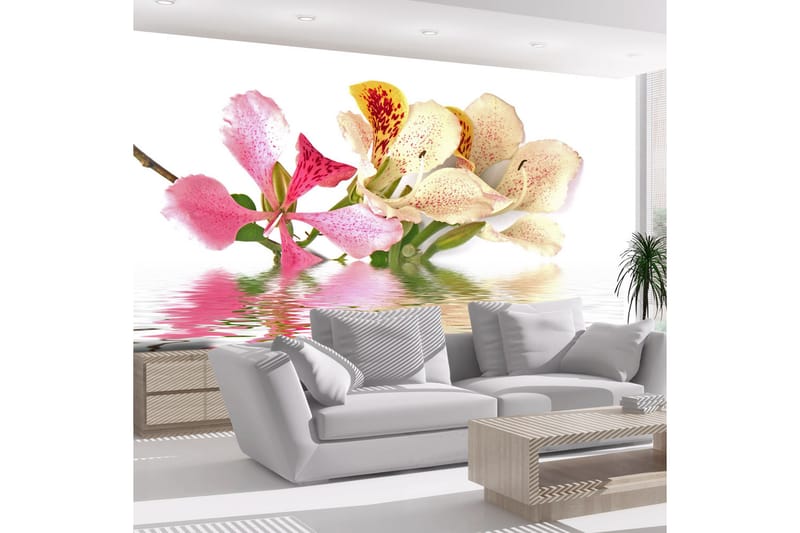 Valokuvatapetti Flowers Orchid Tree Bauhinia 200x154 - Artgeist sp. z o. o. - Sisustustuotteet - Seinäkoristeet - Tapetit - Valokuvatapetit