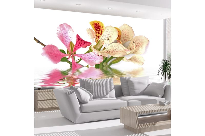 Valokuvatapetti Flowers Orchid Tree Bauhinia 400x309 - Artgeist sp. z o. o. - Sisustustuotteet - Seinäkoristeet - Tapetit - Valokuvatapetit