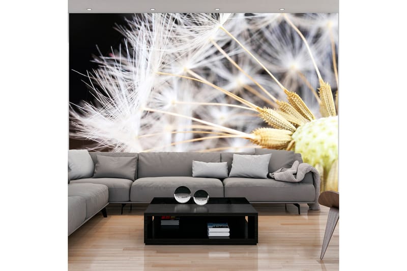 Valokuvatapetti Fluffy Dandelion 100x70 - Artgeist sp. z o. o. - Sisustustuotteet - Seinäkoristeet - Tapetit - Valokuvatapetit