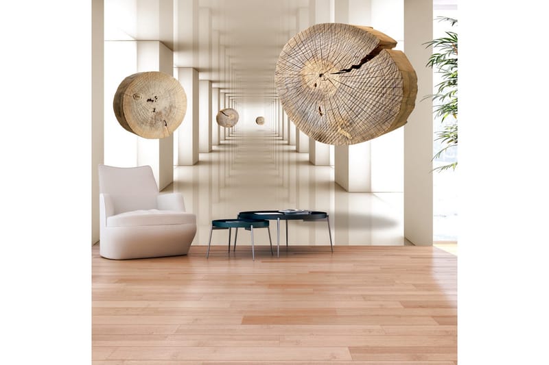 Valokuvatapetti Flying Discs Of Wood 300x210, Artgeist sp. z o. o.