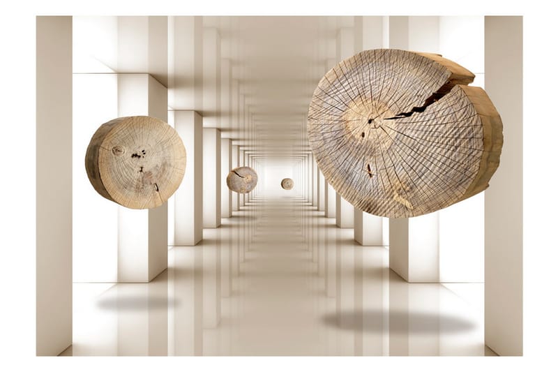 Valokuvatapetti Flying Discs Of Wood 350x245 - Artgeist sp. z o. o. - Sisustustuotteet - Seinäkoristeet - Tapetit - Valokuvatapetit