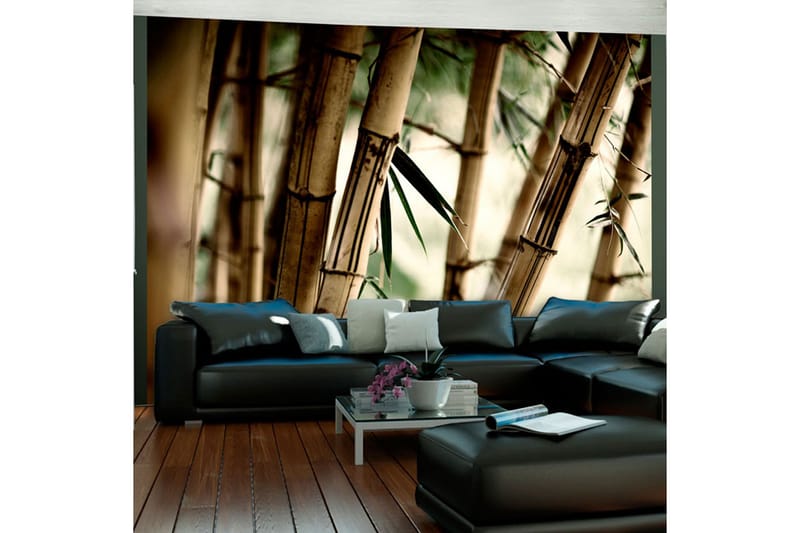Valokuvatapetti Fog And Bamboo Forest 400x309 - Artgeist sp. z o. o. - Sisustustuotteet - Seinäkoristeet - Tapetit - Valokuvatapetit
