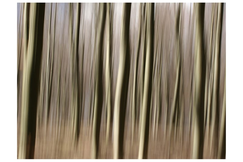 Valokuvatapetti Forest 350x270, Artgeist sp. z o. o.