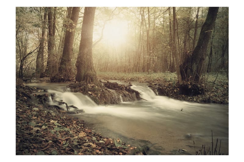Valokuvatapetti Forest Cascade 400x280 - Artgeist sp. z o. o. - Sisustustuotteet - Seinäkoristeet - Tapetit - Valokuvatapetit