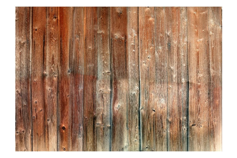 Valokuvatapetti Forest Cottage 250x175 - Artgeist sp. z o. o. - Sisustustuotteet - Seinäkoristeet - Tapetit - Valokuvatapetit