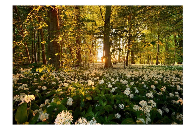 Valokuvatapetti Forest Flora 200x140, Artgeist sp. z o. o.