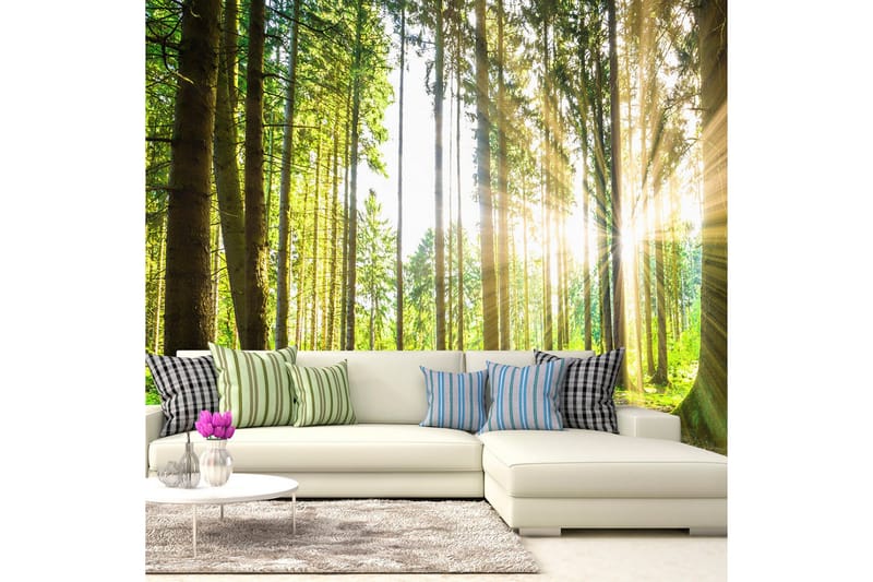 Valokuvatapetti Forest Tales 100x70, Artgeist sp. z o. o.