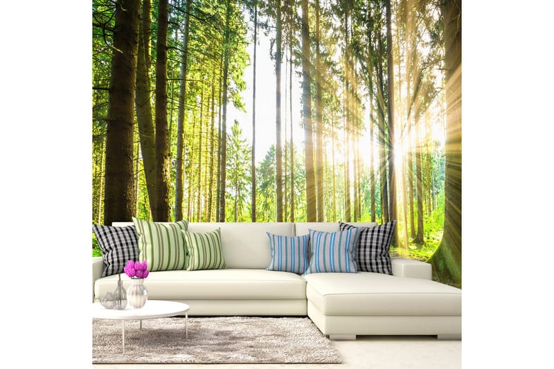 Valokuvatapetti Forest Tales 400x280, Artgeist sp. z o. o.