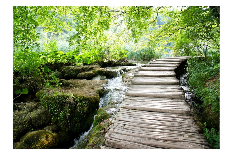 Valokuvatapetti Forest Path 350x245, Artgeist sp. z o. o.