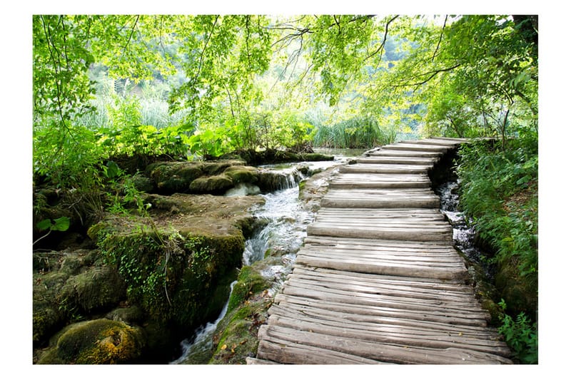 Valokuvatapetti Forest Path 200x140, Artgeist sp. z o. o.