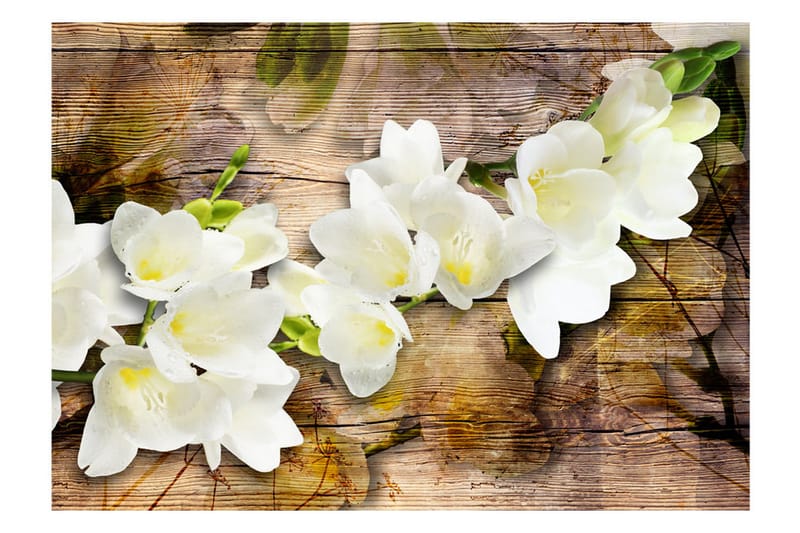 Valokuvatapetti Freesia On Wood 400x280 - Artgeist sp. z o. o. - Sisustustuotteet - Seinäkoristeet - Tapetit - Valokuvatapetit