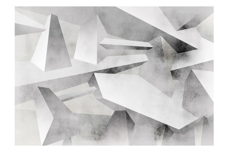 Valokuvatapetti Frozen Wings 100x70 - Artgeist sp. z o. o. - Sisustustuotteet - Seinäkoristeet - Tapetit - Valokuvatapetit