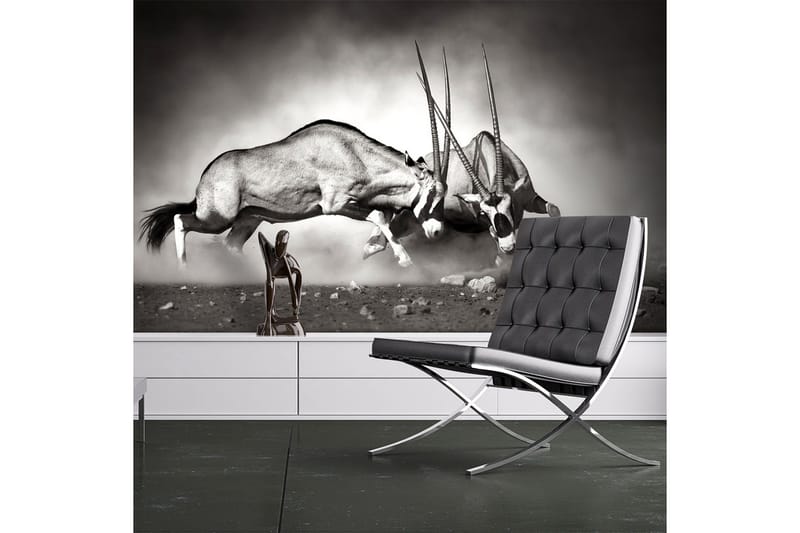 Valokuvatapetti Gemsbok Fight 200x154, Artgeist sp. z o. o.