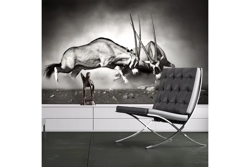 Valokuvatapetti Gemsbok Fight 250x193, Artgeist sp. z o. o.