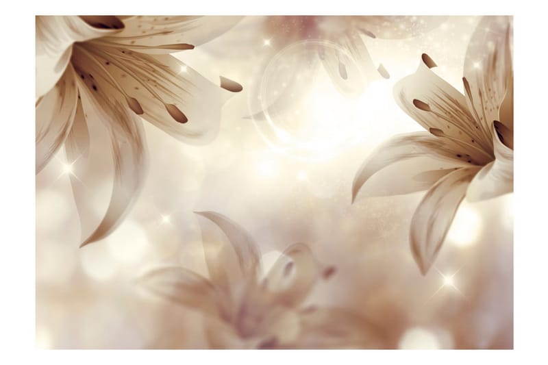 Valokuvatapetti Gentle Symphony 250x175 - Artgeist sp. z o. o. - Sisustustuotteet - Seinäkoristeet - Tapetit - Valokuvatapetit