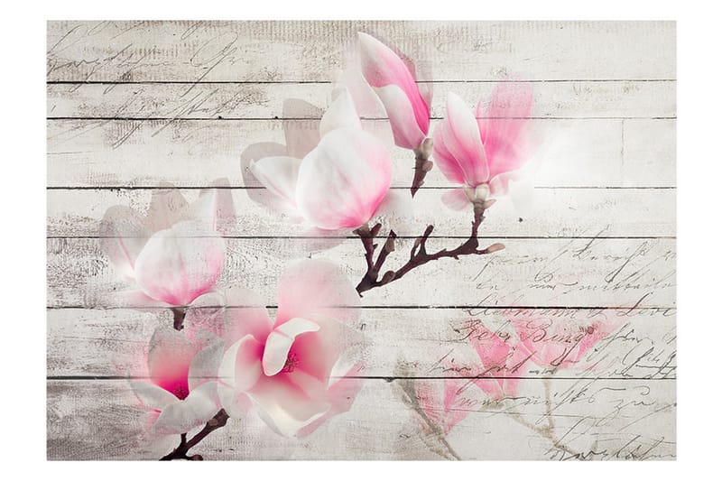 Valokuvatapetti Gentleness Of The Magnolia 200x140 - Artgeist sp. z o. o. - Sisustustuotteet - Seinäkoristeet - Tapetit - Valokuvatapetit