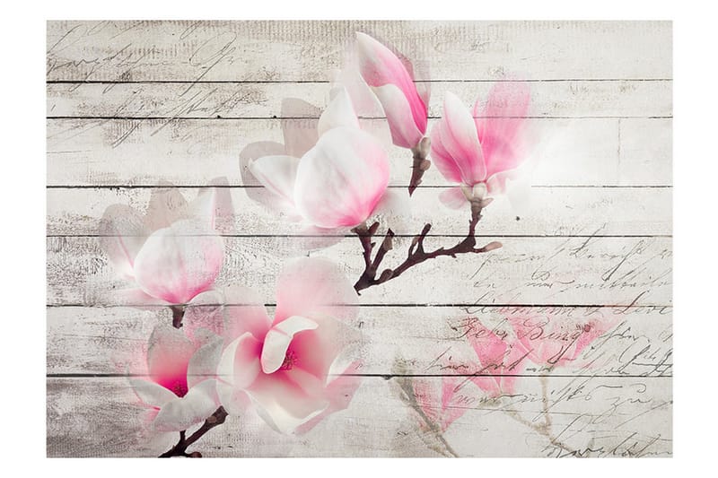Valokuvatapetti Gentleness Of The Magnolia 250x175 - Artgeist sp. z o. o. - Sisustustuotteet - Seinäkoristeet - Tapetit - Valokuvatapetit