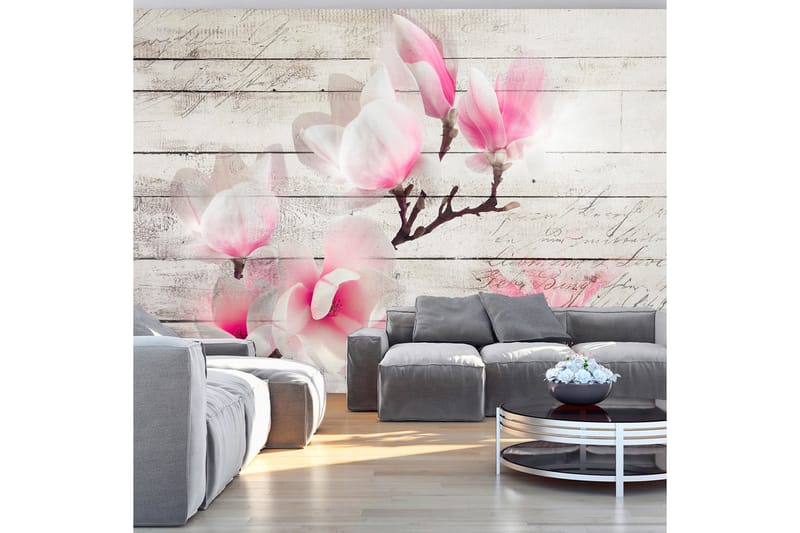 Valokuvatapetti Gentleness Of The Magnolia 300x210 - Artgeist sp. z o. o. - Sisustustuotteet - Seinäkoristeet - Tapetit - Valokuvatapetit