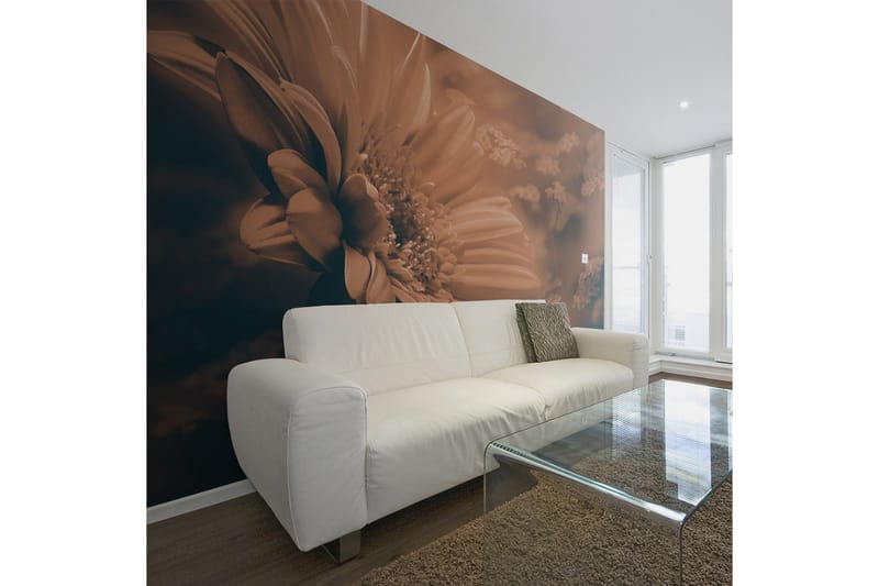 Valokuvatapetti Gerbera Pronssi 300x231, Artgeist sp. z o. o.