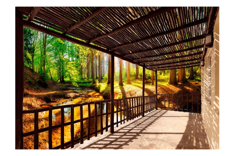 Valokuvatapetti Getting Back To Nature 250x175 - Artgeist sp. z o. o. - Sisustustuotteet - Seinäkoristeet - Tapetit - Valokuvatapetit