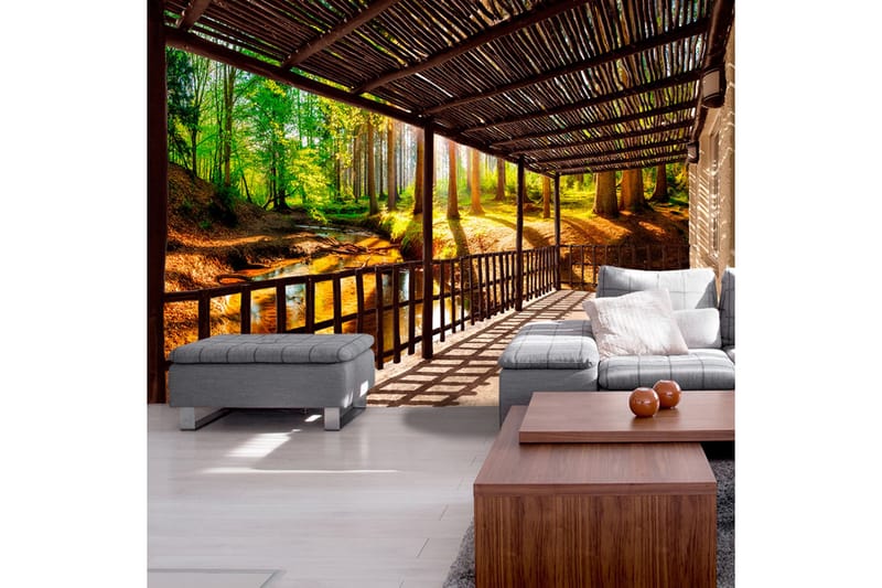 Valokuvatapetti Getting Back To Nature 400x280 - Artgeist sp. z o. o. - Sisustustuotteet - Seinäkoristeet - Tapetit - Valokuvatapetit