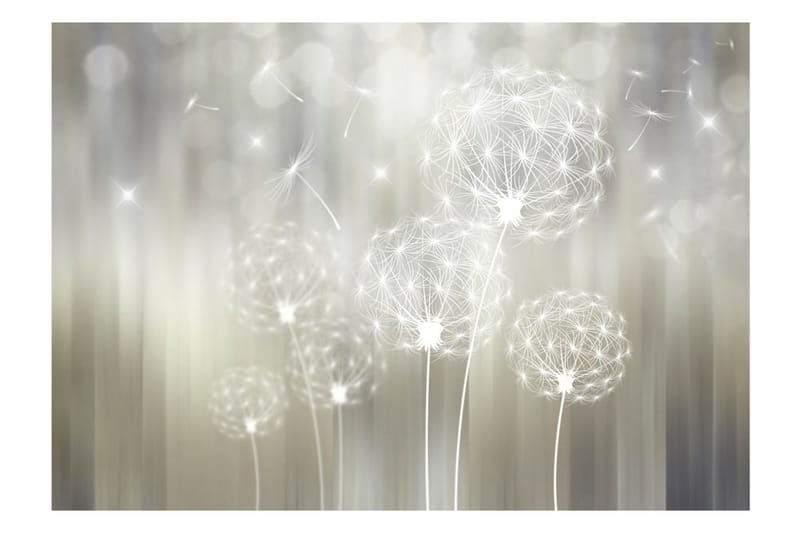 Valokuvatapetti Gift Of The Sun 400x280 - Artgeist sp. z o. o. - Sisustustuotteet - Seinäkoristeet - Tapetit - Valokuvatapetit