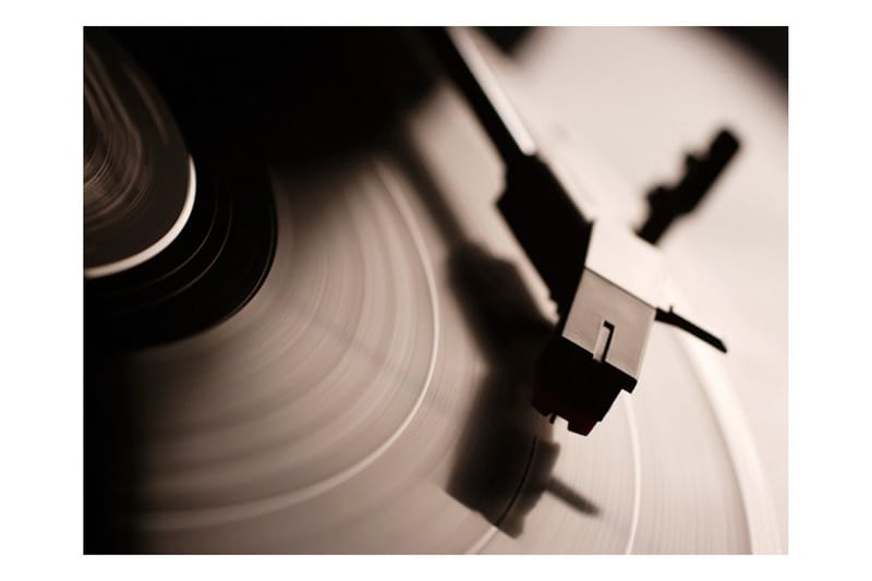 Valokuvatapetti Gramophone And Vinyl Record 300x231 - Artgeist sp. z o. o. - Sisustustuotteet - Seinäkoristeet - Tapetit - Valokuvatapetit