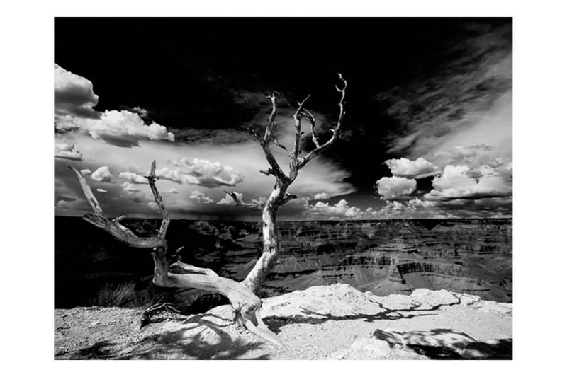 Valokuvatapetti Grand Canyon Tree 250x193 - Artgeist sp. z o. o. - Sisustustuotteet - Seinäkoristeet - Tapetit - Valokuvatapetit