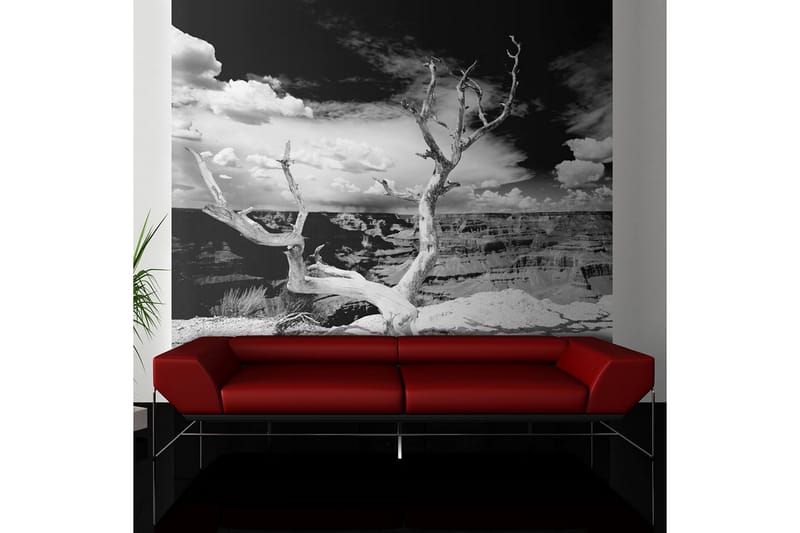 Valokuvatapetti Grand Canyon Tree 250x193 - Artgeist sp. z o. o. - Sisustustuotteet - Seinäkoristeet - Tapetit - Valokuvatapetit