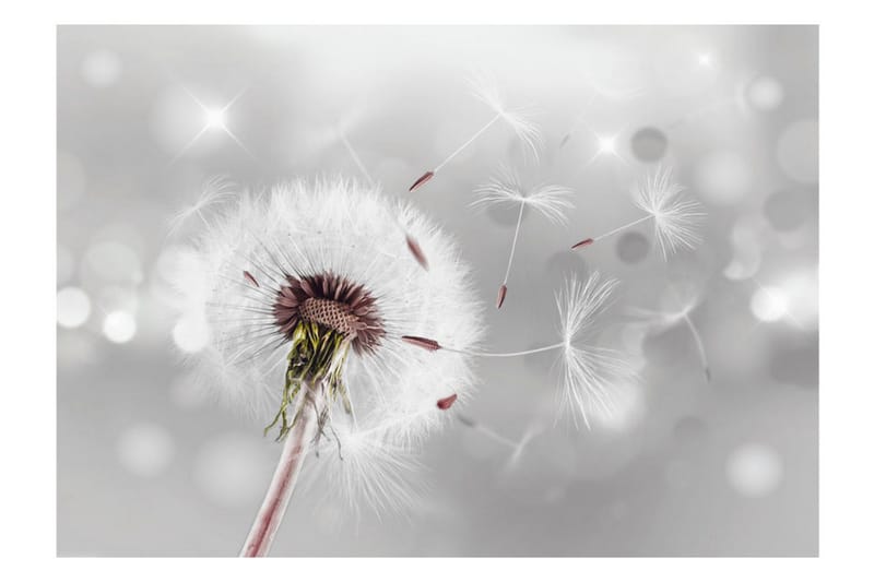 Valokuvatapetti Grasping The Invisible 300x210 - Artgeist sp. z o. o. - Sisustustuotteet - Seinäkoristeet - Tapetit - Valokuvatapetit