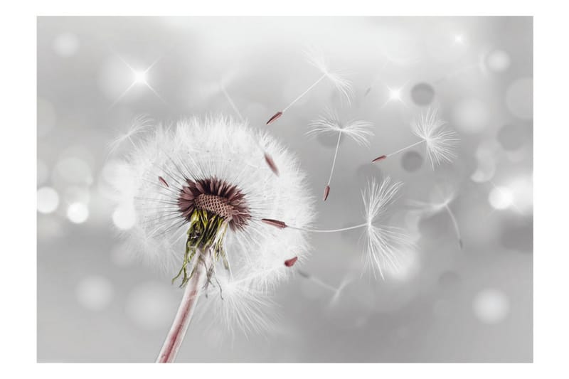 Valokuvatapetti Grasping The Invisible 400x280 - Artgeist sp. z o. o. - Sisustustuotteet - Seinäkoristeet - Tapetit - Valokuvatapetit