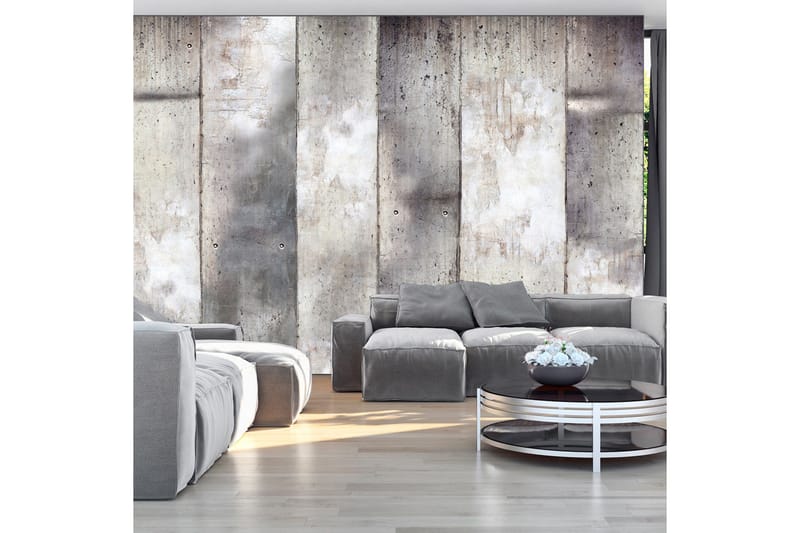 Valokuvatapetti Gray Stripes 250x175, Artgeist sp. z o. o.