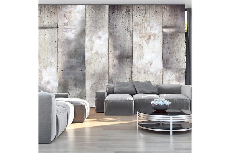 Valokuvatapetti Gray Stripes 250x175, Artgeist sp. z o. o.