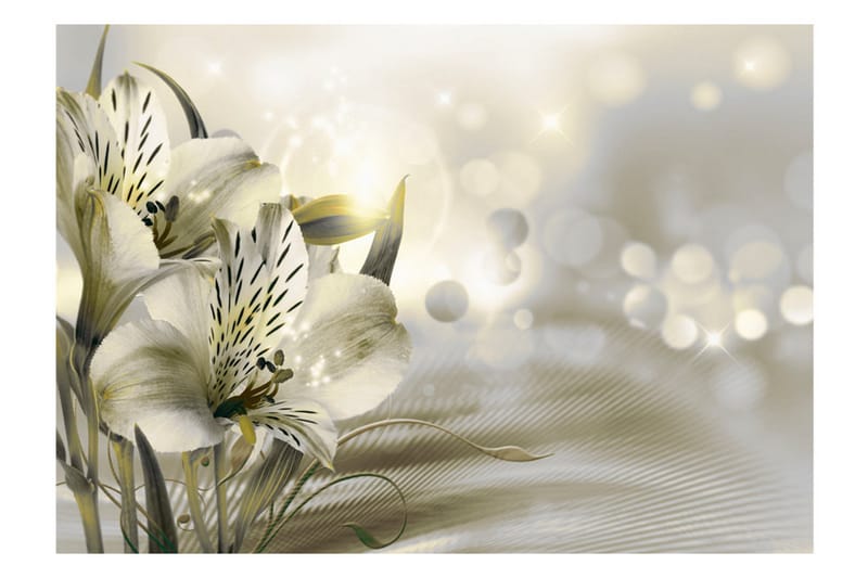 Valokuvatapetti Green Daybreak 300x210 - Artgeist sp. z o. o. - Sisustustuotteet - Seinäkoristeet - Tapetit - Valokuvatapetit