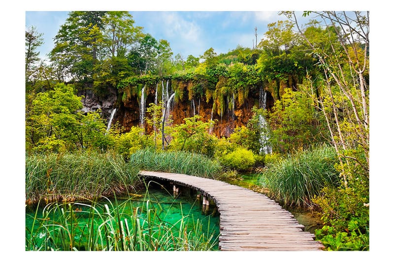 Valokuvatapetti Green Oasis 100x70 - Artgeist sp. z o. o. - Sisustustuotteet - Seinäkoristeet - Tapetit - Valokuvatapetit
