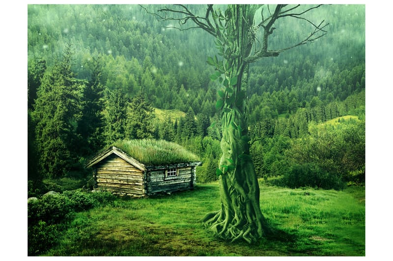 Valokuvatapetti Green Privacy 250x193 - Artgeist sp. z o. o. - Sisustustuotteet - Seinäkoristeet - Tapetit - Valokuvatapetit