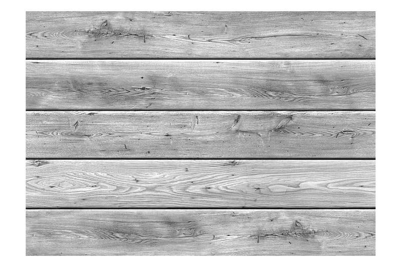 Valokuvatapetti Grey Kingdom 300x210 - Artgeist sp. z o. o. - Sisustustuotteet - Seinäkoristeet - Tapetit - Valokuvatapetit