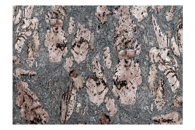 Valokuvatapetti Grey Stopper 200x140, Artgeist sp. z o. o.