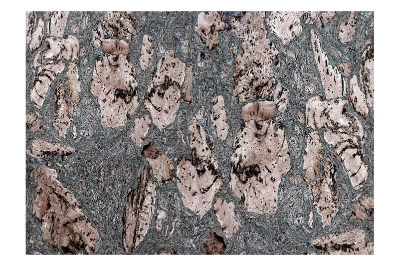 Valokuvatapetti Grey Stopper 400x280, Artgeist sp. z o. o.