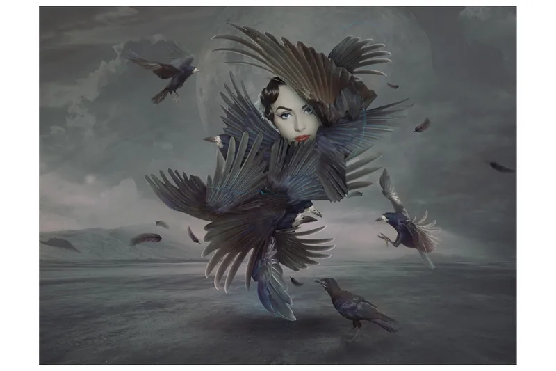 Valokuvatapetti Höyhenten peittämä 350x270, Artgeist sp. z o. o.