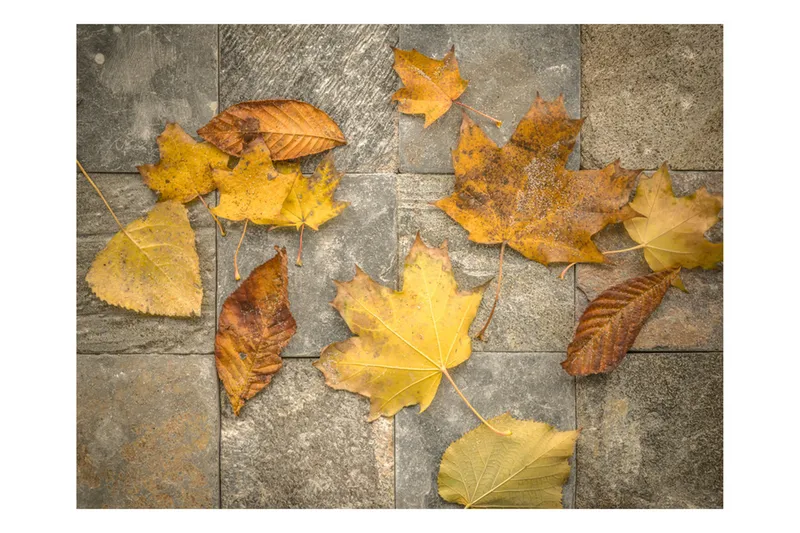 Valokuvatapetti Harbinger of Autumn 350x270, Artgeist sp. z o. o.