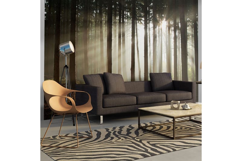 Valokuvatapetti Havumetsä 300x231 - Artgeist sp. z o. o. - Sisustustuotteet - Seinäkoristeet - Tapetit - Valokuvatapetit