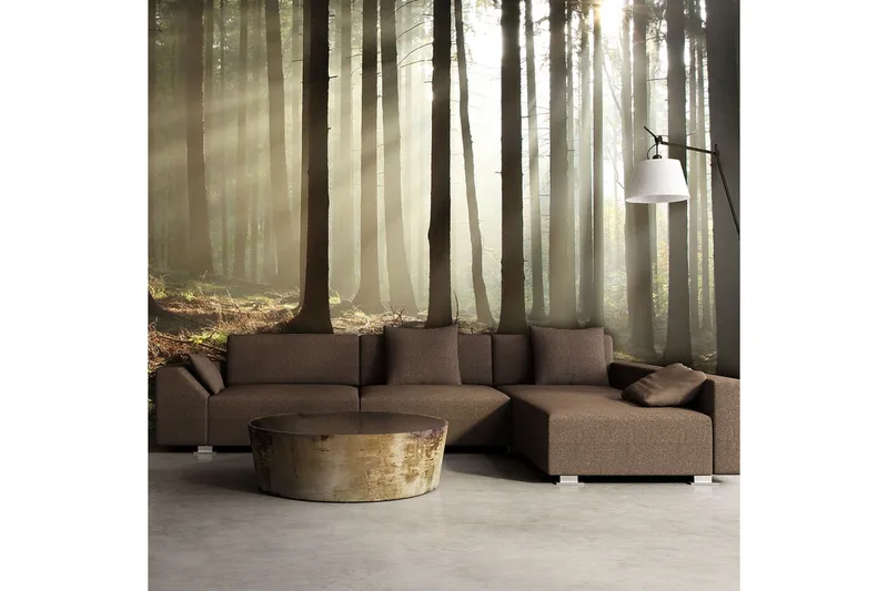 Valokuvatapetti Havumetsä 450x270, Artgeist sp. z o. o.