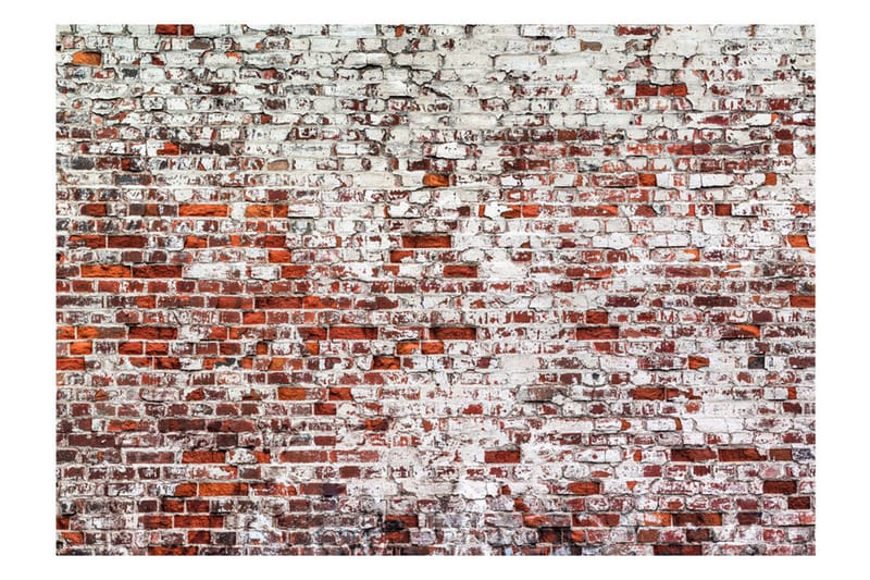 Valokuvatapetti Her Highness The Brick 300x210 - Artgeist sp. z o. o. - Sisustustuotteet - Seinäkoristeet - Tapetit - Valokuvatapetit