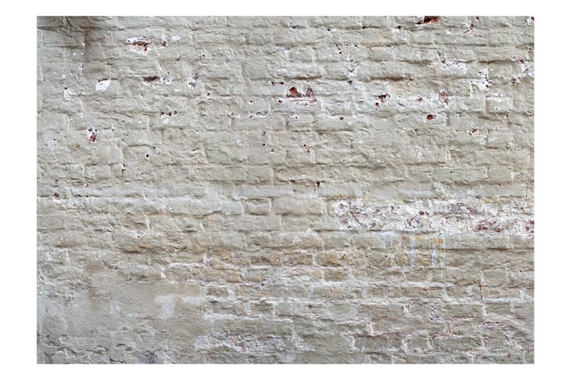 Valokuvatapetti Hidden Harmony 150x105 - Artgeist sp. z o. o. - Sisustustuotteet - Seinäkoristeet - Tapetit - Valokuvatapetit