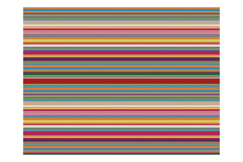 Valokuvatapetti Hillityt raidat 350x270 - Artgeist sp. z o. o. - Sisustustuotteet - Seinäkoristeet - Tapetit - Valokuvatapetit
