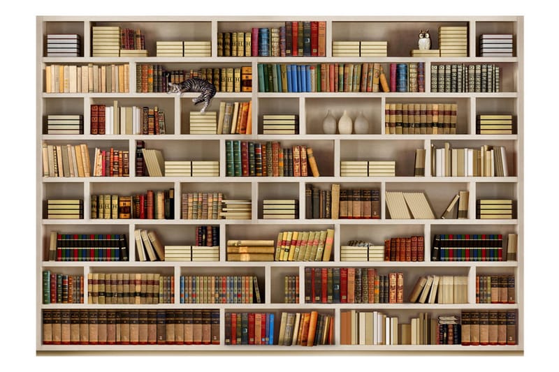 Valokuvatapetti Home Library 350x245 - Artgeist sp. z o. o. - Sisustustuotteet - Seinäkoristeet - Tapetit - Valokuvatapetit